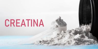 La creatina y su impacto positivo en la salud